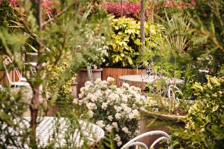 terrasse Maleyssie<br />
 